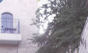 יחצ צילום: יחצ תרבות