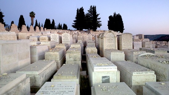  חדשות