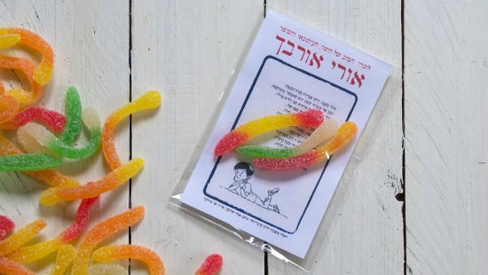 אפרת מוסקוביץ צילום: אפרת מוסקוביץ חדשות