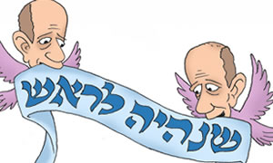ארמדיל צילום: ארמדיל ארמדיל