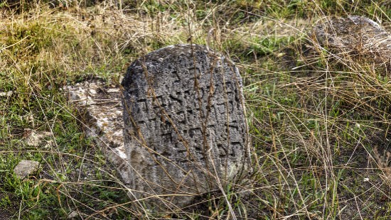 אילוסטרציה: A_Lesik / Shutterstock.com צילום: אילוסטרציה: A_Lesik / Shutterstock.com חדשות