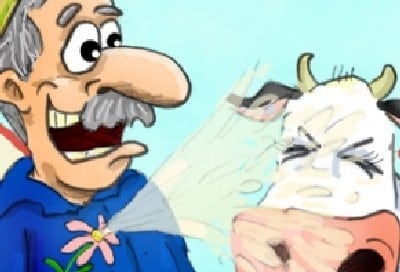 ארמדיל צילום: ארמדיל ארמדיל