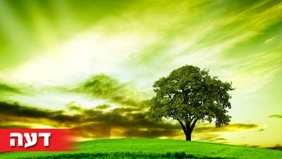shutterstock צילום: shutterstock חדשות
