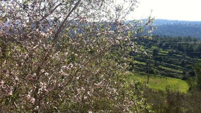 בית ספר שדה שער הגיא צילום: בית ספר שדה שער הגיא הורים וילדים