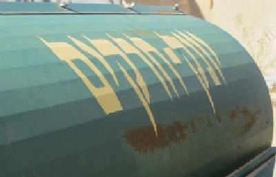 נבו כץ צילום: נבו כץ חדשות