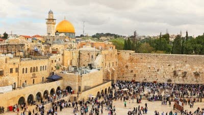 Protasov AN / Shutterstock.com צילום: Protasov AN / Shutterstock.com חדשות
