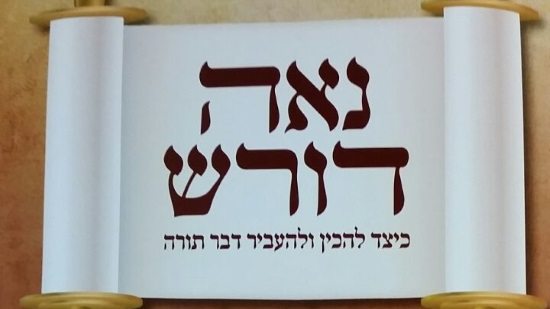 באדיבות המצלם צילום: באדיבות המצלם יהדות