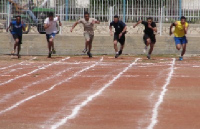 שילה כץ צילום: שילה כץ הורים וילדים