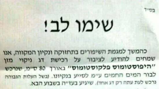 צילום מסך צילום: צילום מסך חדשות