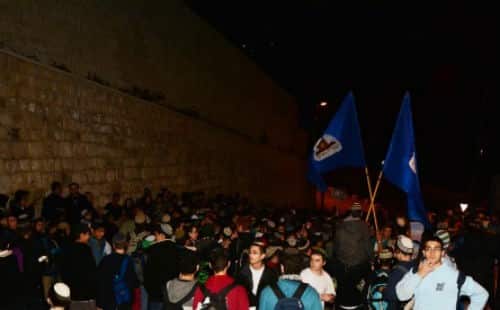 מאור לביא צילום: מאור לביא חדשות