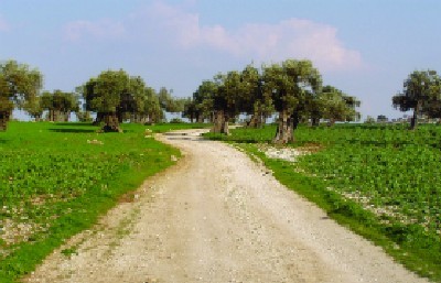 יחצ צילום: יחצ הורים וילדים