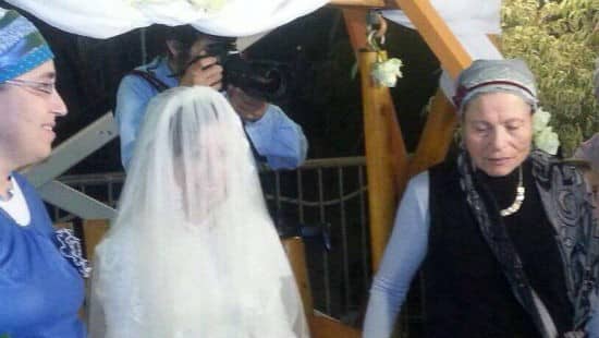 דניאל בר צילום: דניאל בר חדשות
