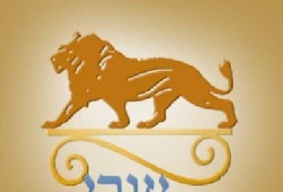 יחצ צילום: יחצ חדשות