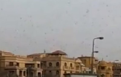 צילום מסך צילום: צילום מסך חדשות