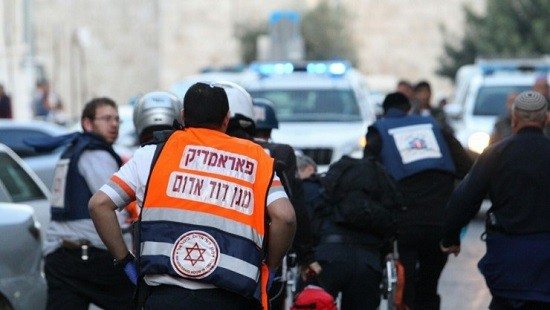 הלל מאיר TPS צילום: הלל מאיר TPS חדשות