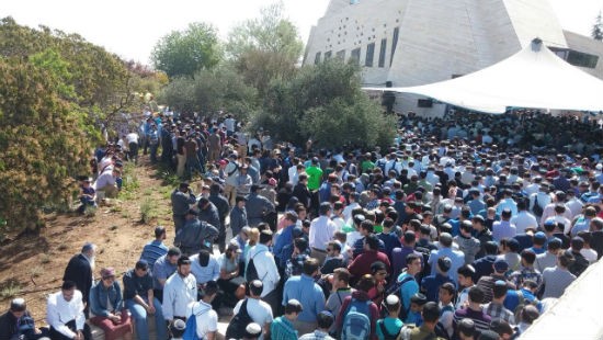 דוברות צילום: דוברות חדשות