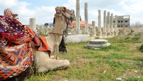 יחצ צילום: יחצ הורים וילדים