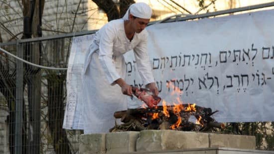 אדם פרופ, אסף פריד, אלישמע סנדמן, מטה ארגוני המקדש צילום: אדם פרופ, אסף פריד, אלישמע סנדמן, מטה ארגוני המקדש יהדות