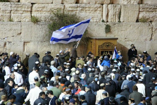 עילאי כנפו צילום: עילאי כנפו חדשות