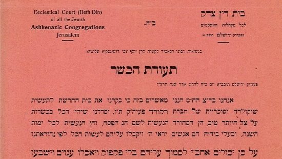 הארכיון הציוני המרכזי של ההסתדרות הציונית העולמית צילום: הארכיון הציוני המרכזי של ההסתדרות הציונית העולמית תרבות
