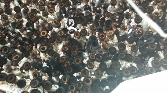 אליעזר סמט - סוכנות הידיעות 24 צילום: אליעזר סמט - סוכנות הידיעות 24 חדשות