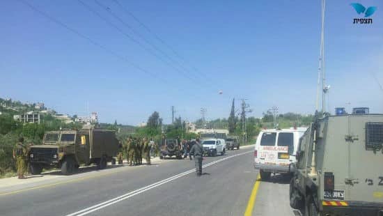 תצפית צילום: תצפית חדשות