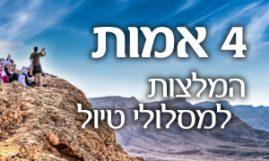  תרבות