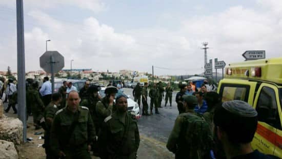 מועצה אזורית גוש עציון צילום: מועצה אזורית גוש עציון חדשות