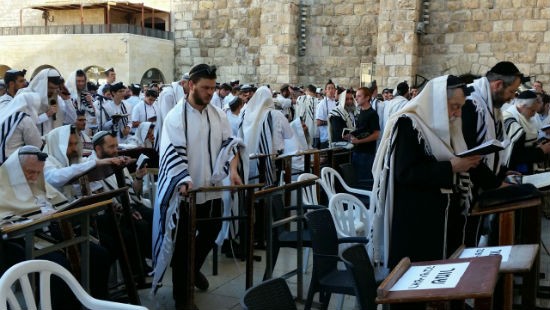 באדיבות המצלם צילום: באדיבות המצלם חדשות