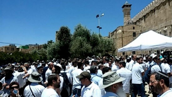 חנן גרינווד צילום: חנן גרינווד חדשות