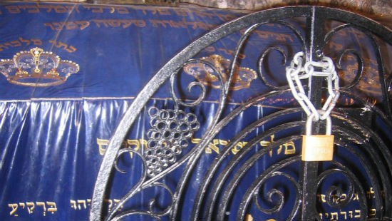 Corky Buczyk / Shutterstock.com צילום: Corky Buczyk / Shutterstock.com חדשות