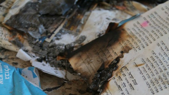 אלישמע סנדמן צילום: אלישמע סנדמן חדשות