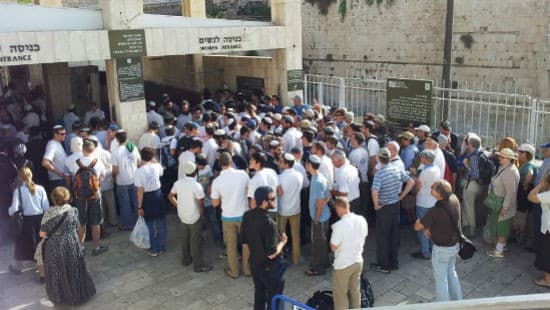 ארנון סגל צילום: ארנון סגל חדשות