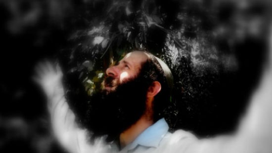 רן שריד צילום: רן שריד מוזיקה