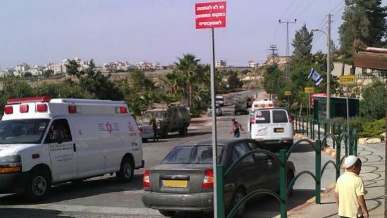 דוברות הר חברון צילום: דוברות הר חברון חדשות