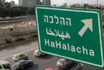 עטיפת הספר צילום: עטיפת הספר ספרים