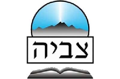  חינוך