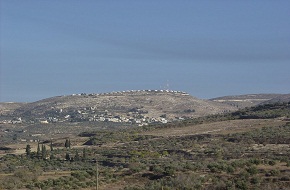 יד לקטיף צילום: יד לקטיף חדשות