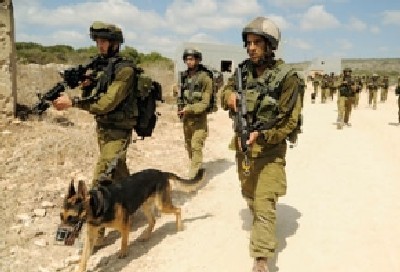 דובר צהל צילום: דובר צהל חדשות