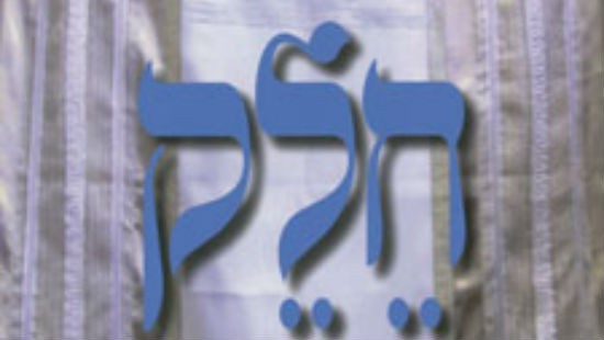 צומת ספרים צילום: צומת ספרים חדשות