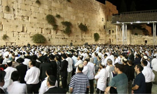 הלל מאיר - סוכנות תצפית צילום: הלל מאיר - סוכנות תצפית חדשות