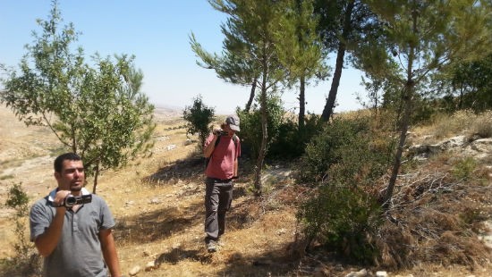 אביגייל צילום: אביגייל חדשות