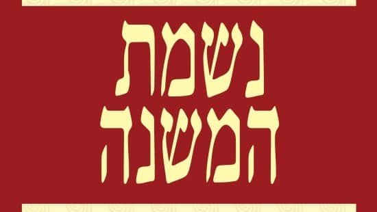  תרבות