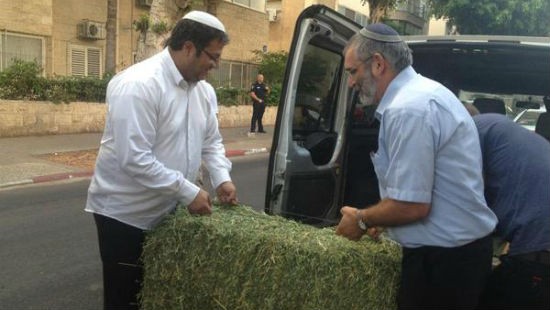 דוברות צילום: דוברות חדשות