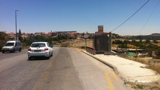 חנן גרינווד צילום: חנן גרינווד חדשות