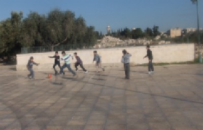 מטה ארגוני המקדש צילום: מטה ארגוני המקדש חדשות