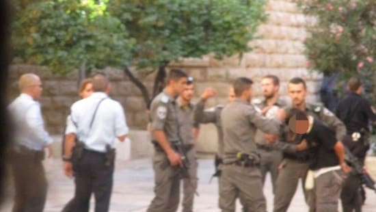 ארגון חוננו צילום: ארגון חוננו חדשות