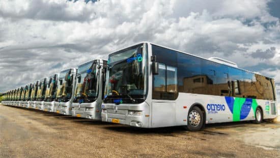 אילוסטרציה. דוברות צילום: אילוסטרציה. דוברות משאל עם