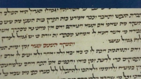 כריכת הספר צילום: כריכת הספר ספרים
