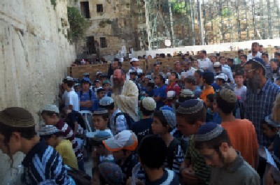 קוממיות צילום: קוממיות חדשות